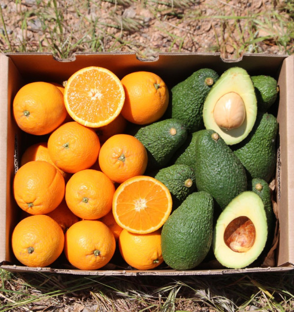 Acheter des oranges et des avocats