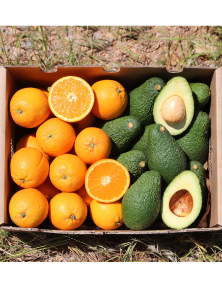 Acheter des oranges et des avocats