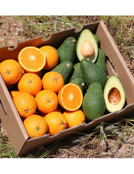 Acheter des oranges et des avocats