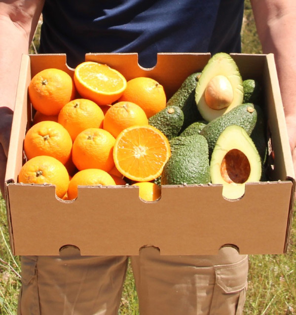 Compre laranjas e abacates | Packs TropiTop