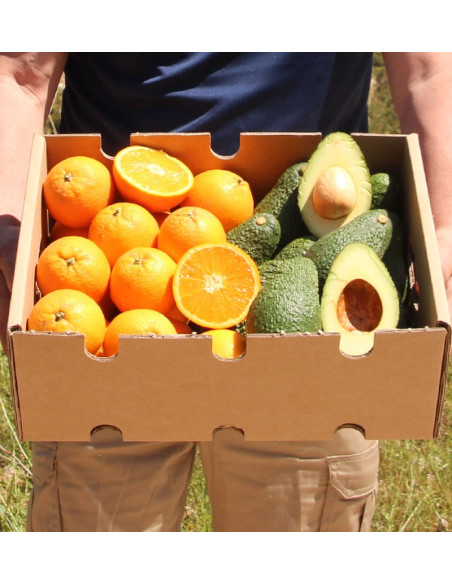 Acheter des oranges et des avocats