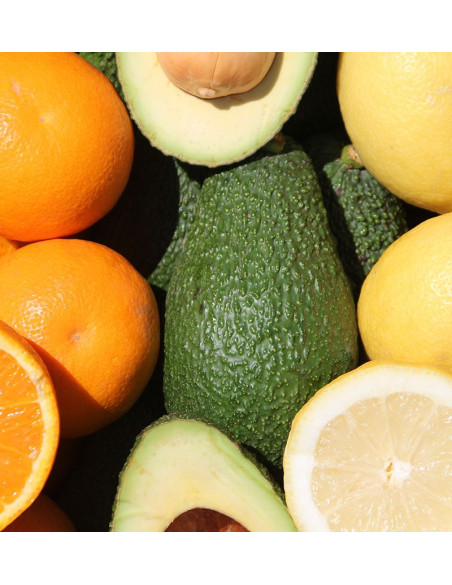 Breakfast with avocados: avocados, oranges and lemons
