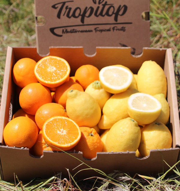 Oranges et citrons | Fruits en ligne