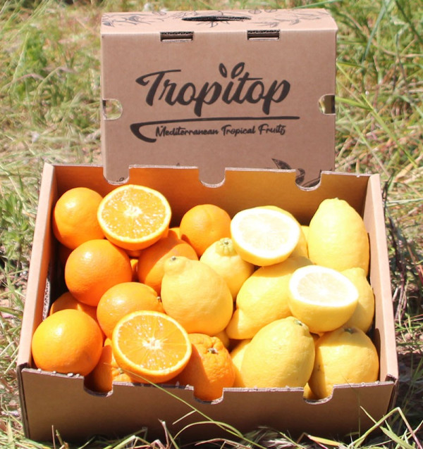 Oranges et citrons | Fruits en ligne
