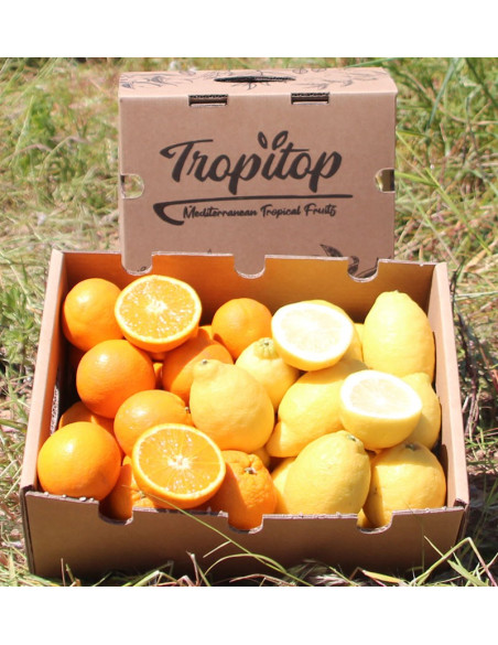 Orangen und Zitronen | Online-Obst