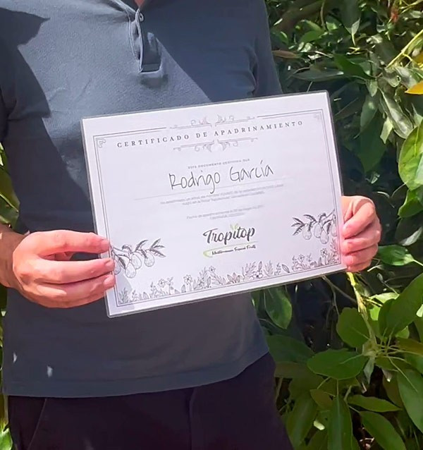 Sponsor an Avocado Tree