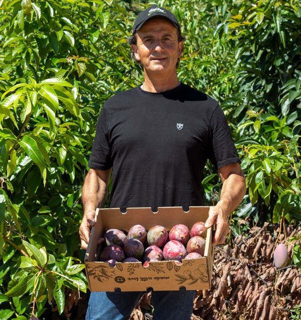 Acquista Mangos Online | La Migliore Selezione di Mango Freschi