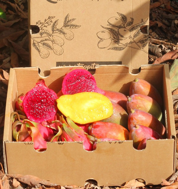 Drachenfrucht und Mango