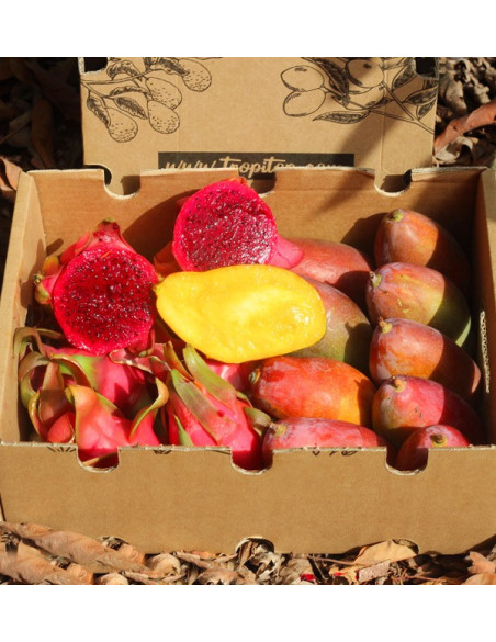 Buy pitaya and mangoes