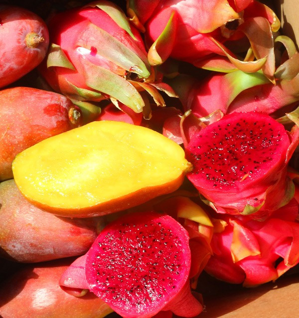 Comprar Pitahayas y Mangos