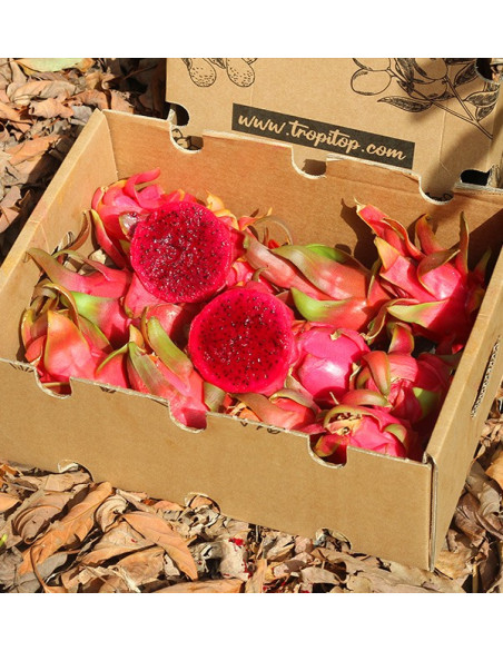 Drachenfrucht Online Kaufen