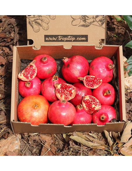 Buy pomegranates online at Tropitop