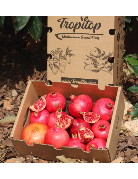 Acheter des grenades en ligne sur Tropitop