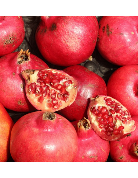 Buy pomegranates online at Tropitop