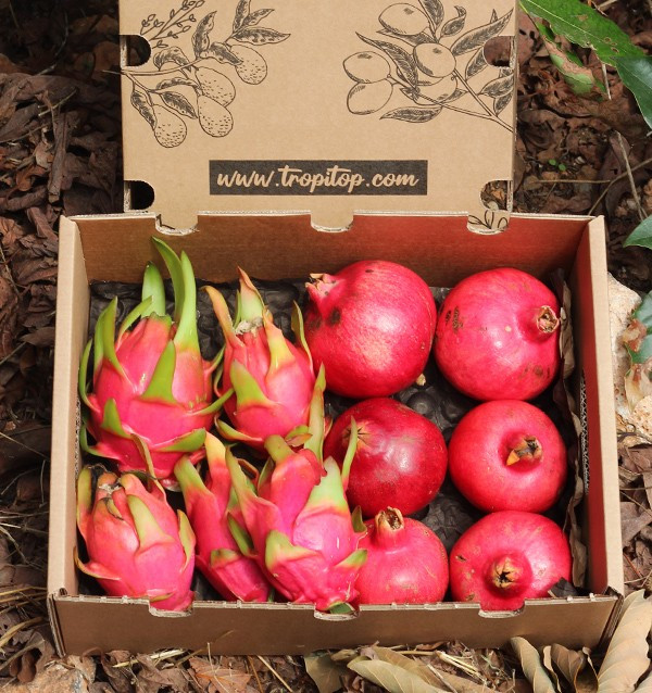 Comprar romãs e pitaias online na Tropitop