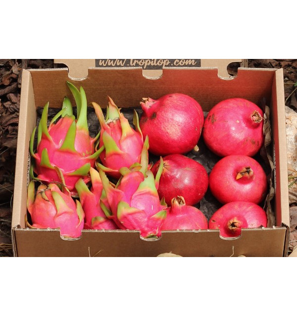 Buy pomegranates and pitahayas online at Tropitop