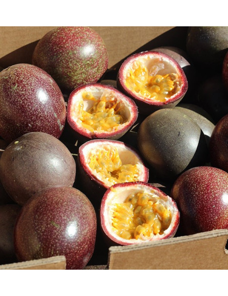 Comprar Fruta da Paixão (Maracujá) online