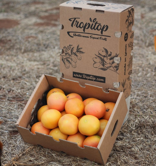 Buy Grapefruits online