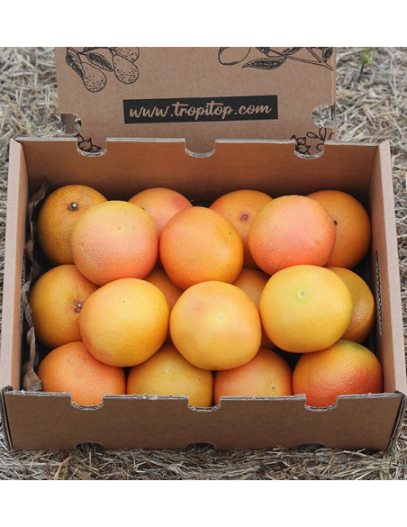 Kaufen Sie Grapefruits online vom Feld zu Ihnen nach Hause