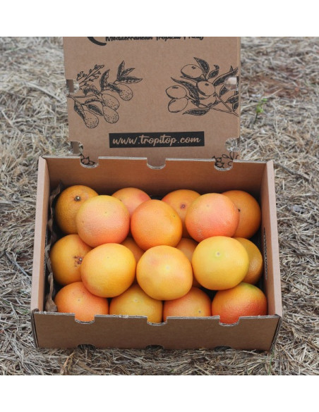 Comprar Pomelos online del campo a tu casa