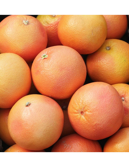 Comprar Pomelos online del campo a tu casa