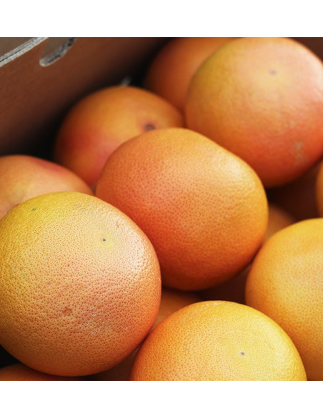 Kaufen Sie Grapefruits online vom Feld zu Ihnen nach Hause