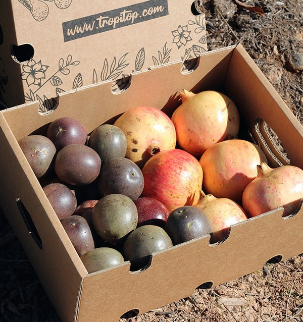 Buy passion fruit and pomegranates online at Tropitop 2