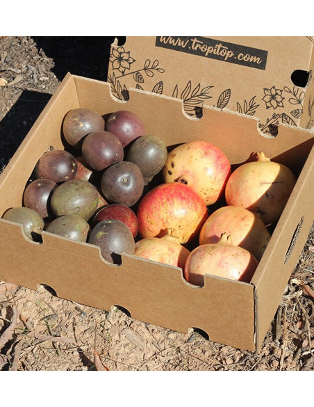 Acheter fruits de la passion et grenades en ligne sur Tropitop