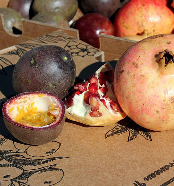 Passionfrucht und Granatäpfel online bei Tropitop kaufen