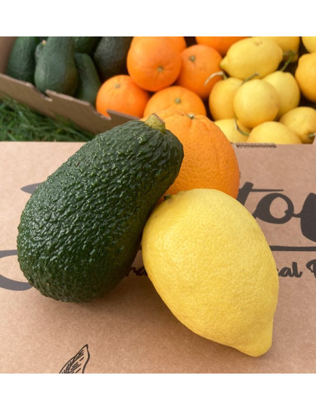 Pequeno almoço com abacates: abacates, laranjas e limões