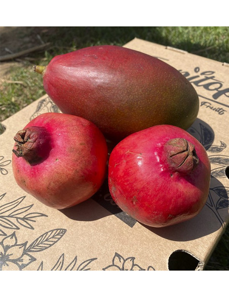 Granatapfel und Mango online bei Tropitop kaufen