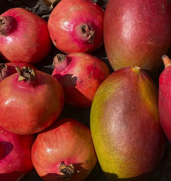 Granatapfel und Mango online bei Tropitop kaufen