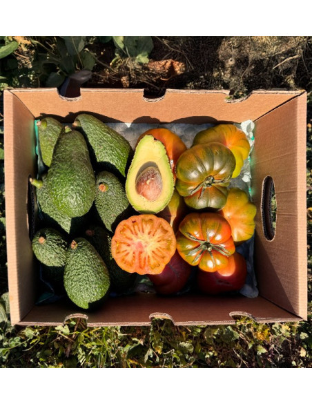 Acquista Avocado Hass e Pomodoro Raf online su Tropitop