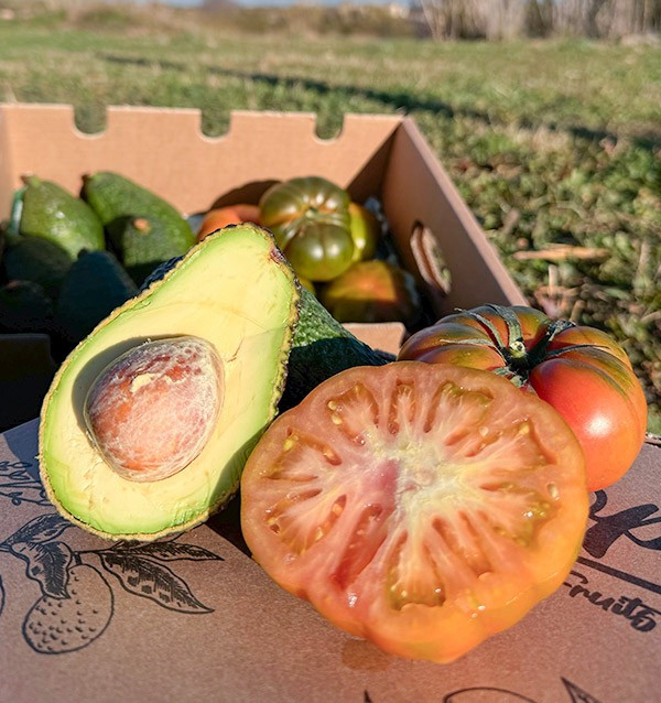 Compre Abacate Hass e Tomate Raf Online na Tropitop