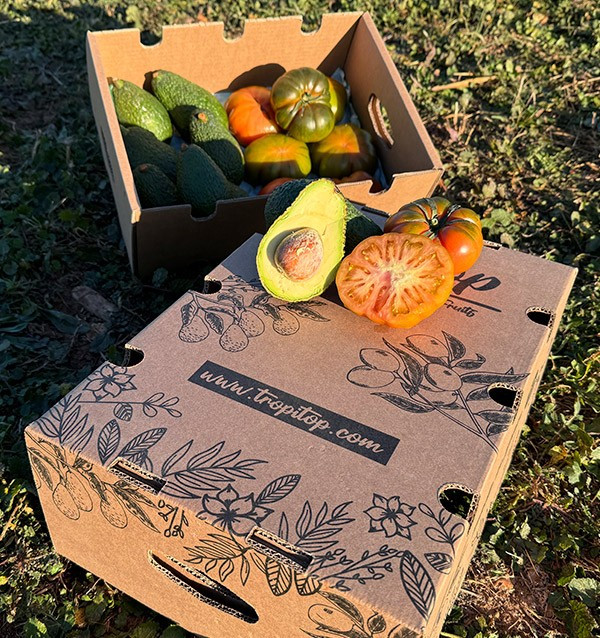 Acquista Avocado Hass e Pomodoro Raf online su Tropitop