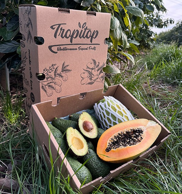 Comprar Abacate Hass e Mamão | Sabor Cremoso e Exótico na Tropitop