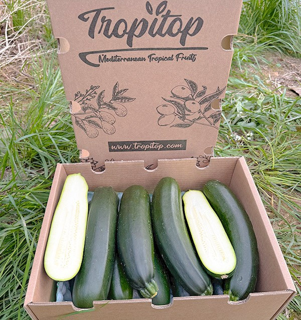 Acheter Courgette Verte ou Noire en Ligne sur Tropitop