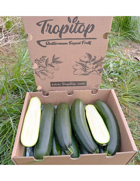 Acheter Courgette Verte ou Noire en Ligne sur Tropitop