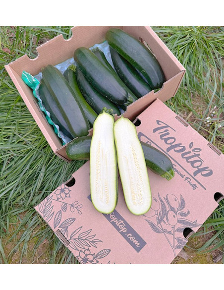 Comprar Abobrinha Verde ou Preta Online na Tropitop