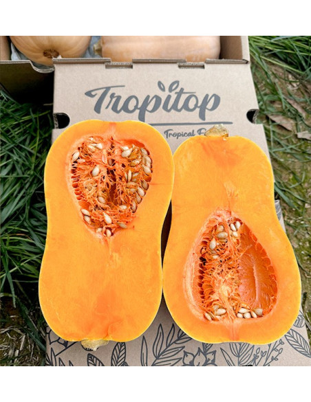 Comprar Abóbora Cacahuete Online na Tropitop