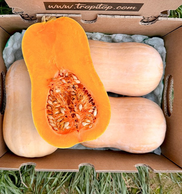 Acheter de la courge cacahuète en ligne chez Tropitop