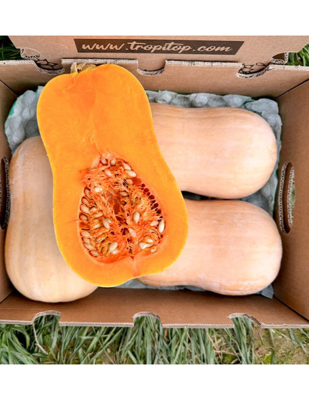 Acheter de la courge cacahuète en ligne chez Tropitop