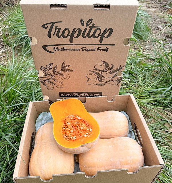 Buy Butternut Squash Online at Tropitop