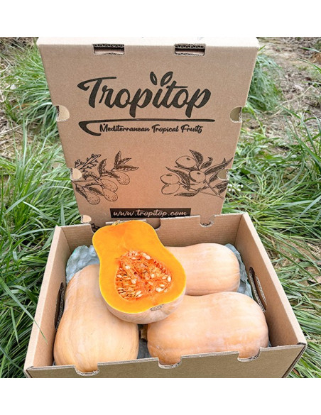 Comprar Abóbora Cacahuete Online na Tropitop