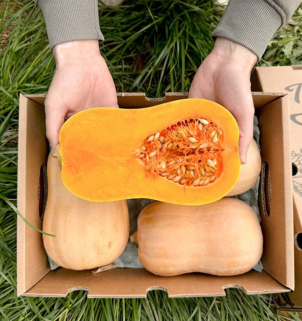 Comprar Abóbora Cacahuete Online na Tropitop