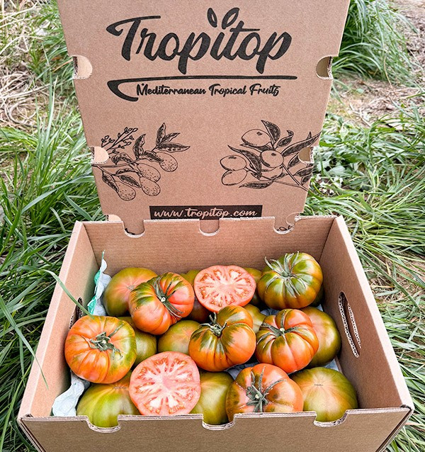 Acheter des tomates Raf en ligne chez Tropitop