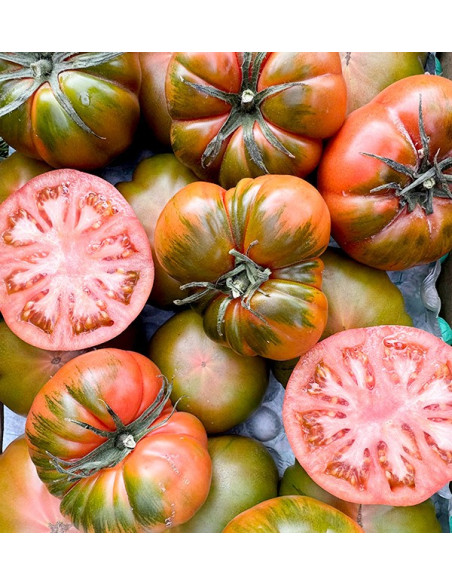 Acheter des tomates Raf en ligne chez Tropitop