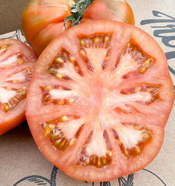 Acheter des tomates Raf en ligne chez Tropitop