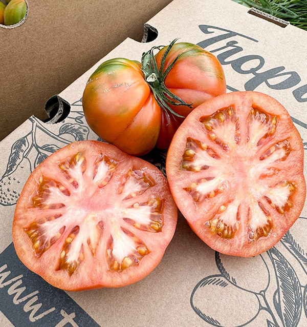 Acheter des tomates Raf en ligne chez Tropitop
