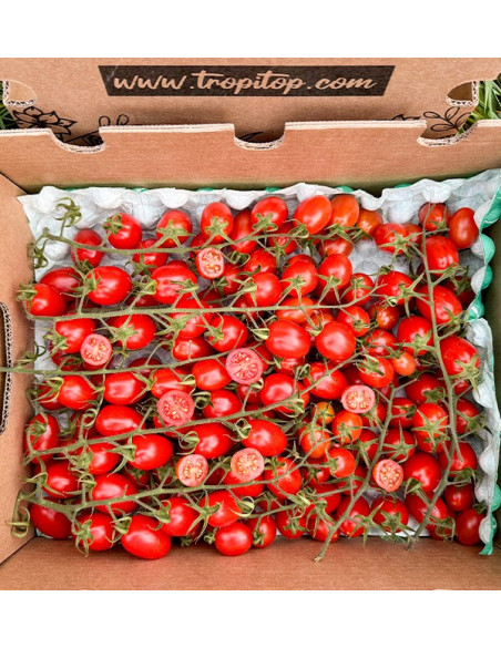 Acquista Pomodori Cherry on the Vine Online